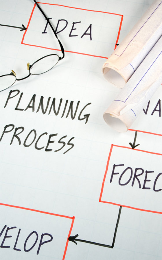 gerente de proyectos